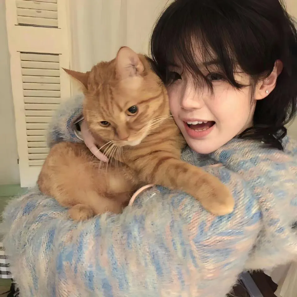 危机：龙潭之战